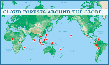 cloudforests_globe.gif